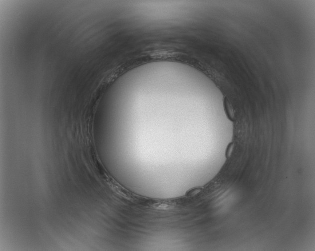 X0000063480755200601201024