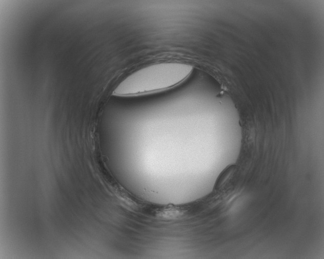 X0000063480759200601201024