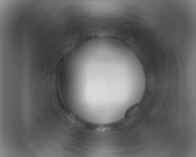 X0000063480760200601201025