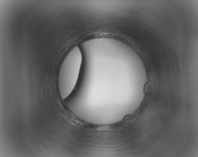 X0000063480761200601201025