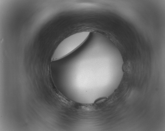 X0000063480763200601201025