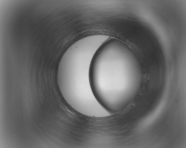 X0000063480766200601201025