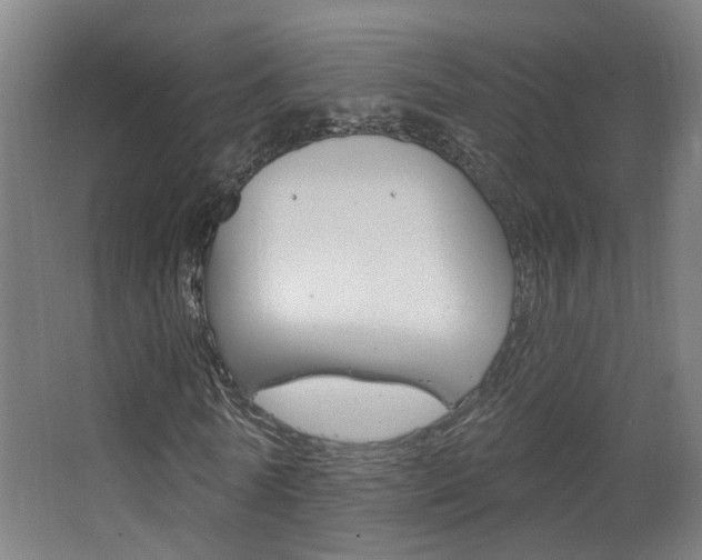 X0000063480770200601201024