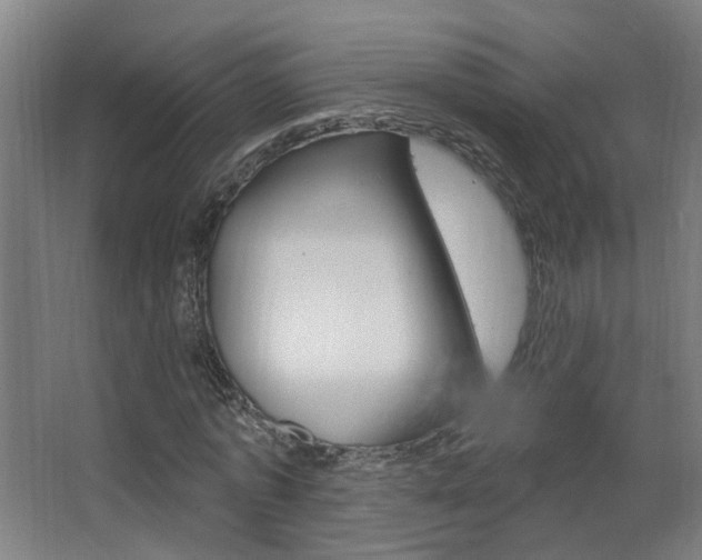 X0000063480773200601201024