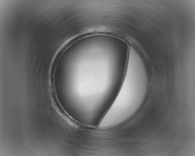 X0000063480784200601201024