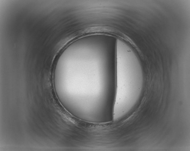 X0000063480786200601201024