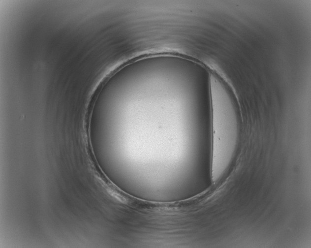 X0000063480789200601201023
