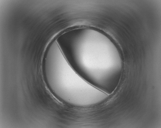 X0000063480791200601201023