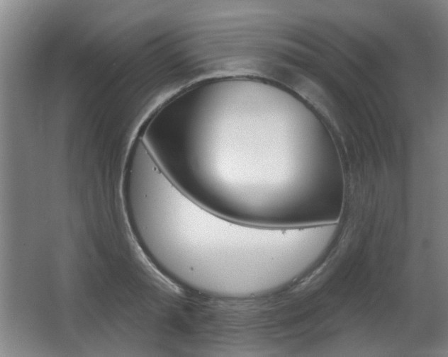 X0000063480797200601201023