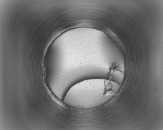 X0000063480808200601201023