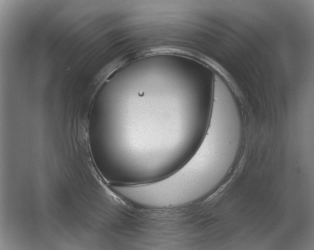 X0000063480809200601201023