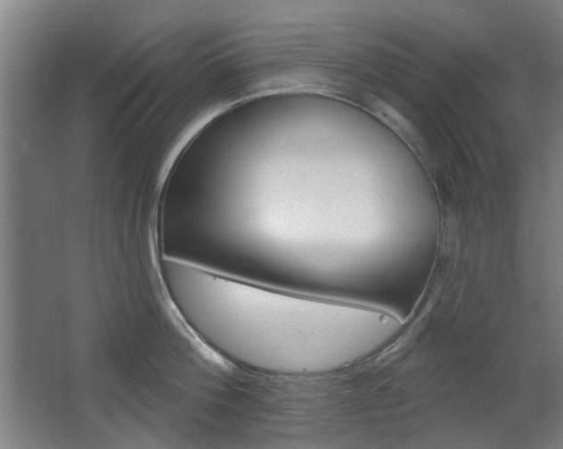 X0000063480812200601201023