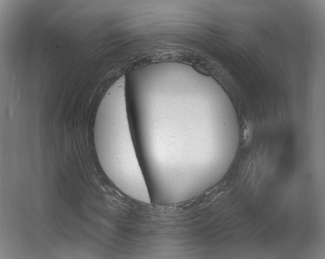 X0000063480819200601201022