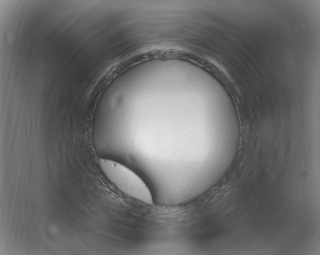 X0000063480823200601201022