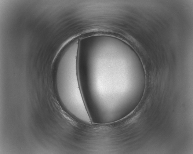 X0000063480830200601201022
