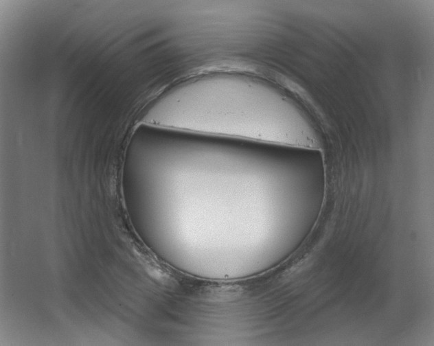 X0000063480833200601201022