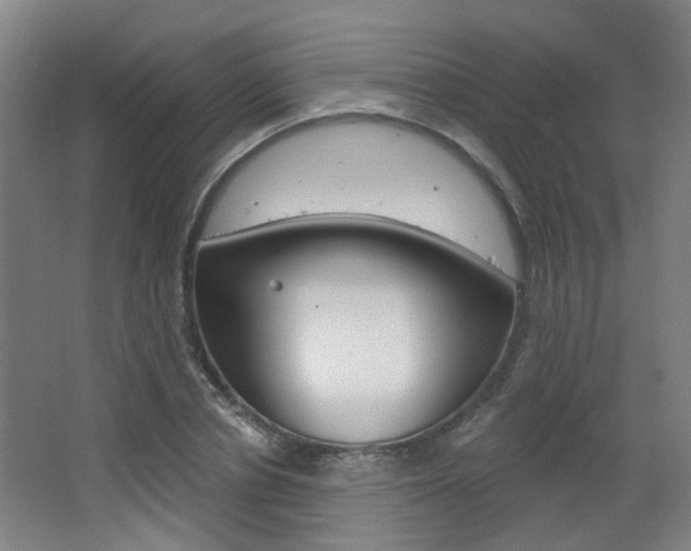 X0000063480834200601201023