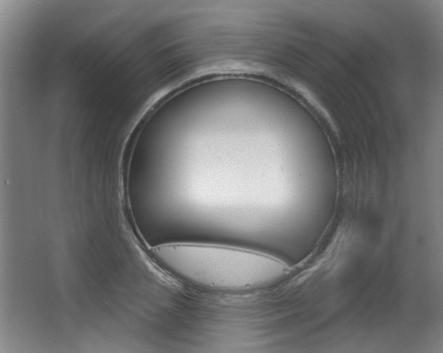 X0000063480837200601201023