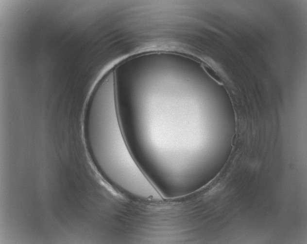 X0000063480846200601201023