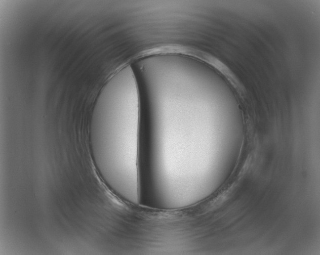 X0000063480857200601201023