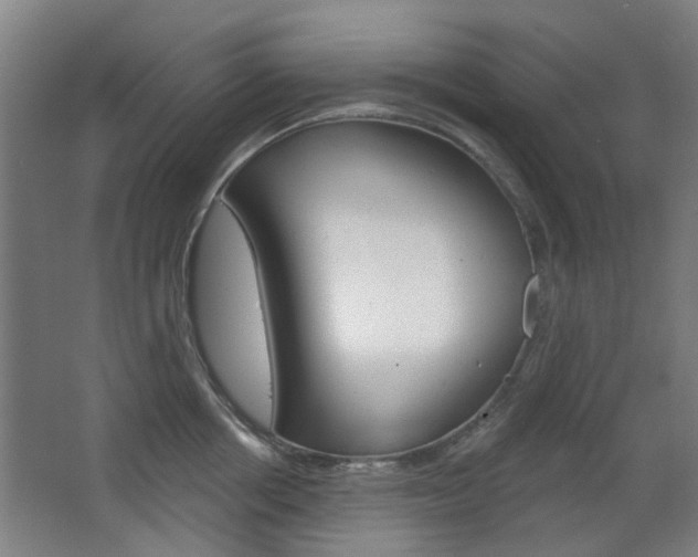 X0000063480858200601201023
