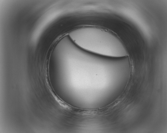 X0000063480861200601201023