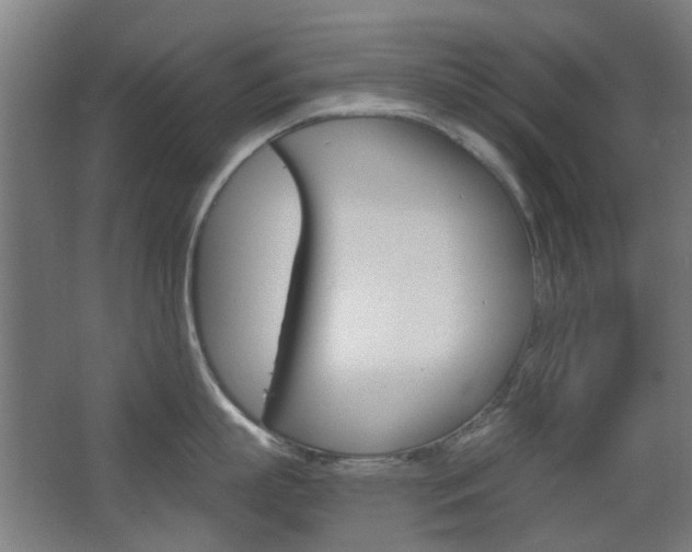X0000063480863200601201023