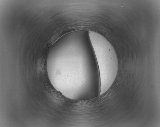 X0000063480867200601201022