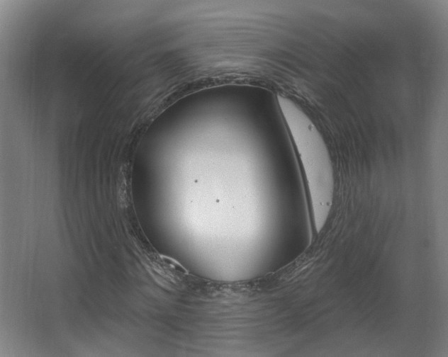 X0000063480868200601201022