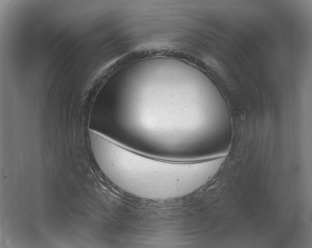 X0000063480872200601201022