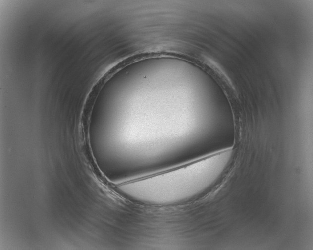 X0000063480876200601201022