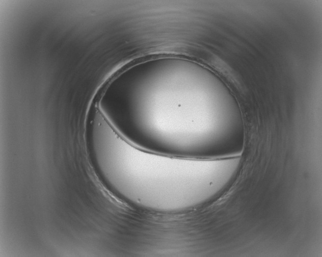 X0000063480884200601201022