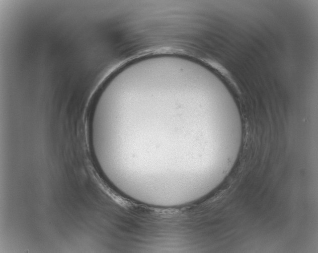 X0000063480886200601201022