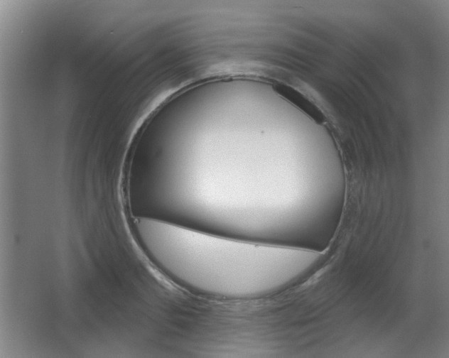 X0000063480893200601201022