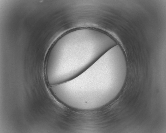 X0000063480895200601201022