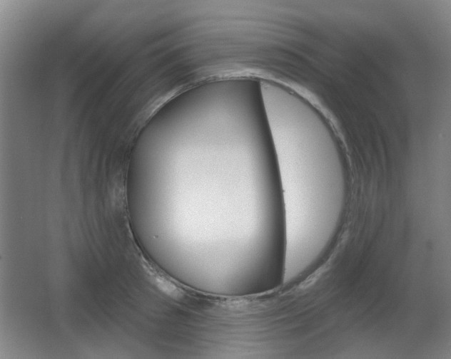 X0000063480897200601201022