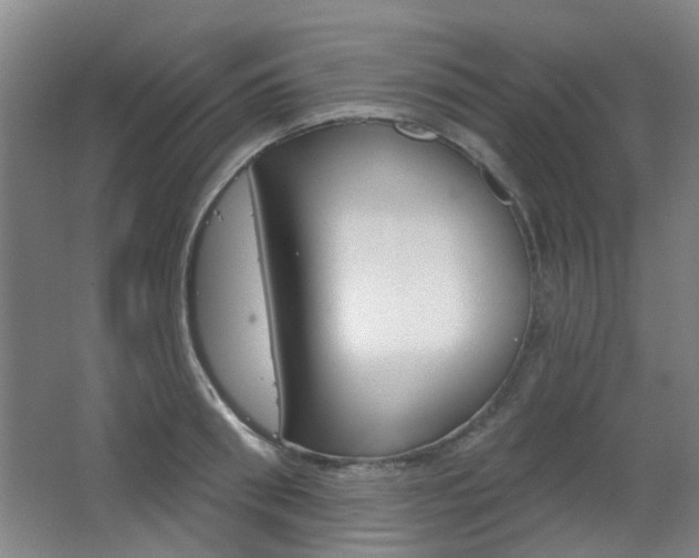 X0000063480898200601201022