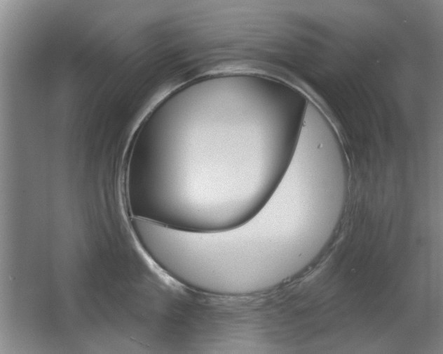 X0000063480909200601201021