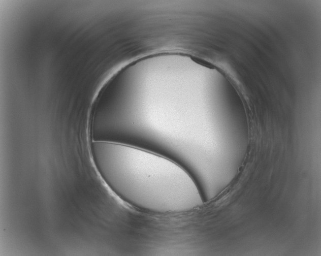 X0000063480910200601201021