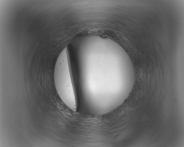X0000063480914200601201021