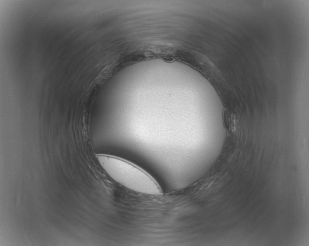 X0000063480915200601201021