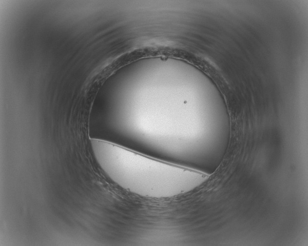 X0000063480919200601201021