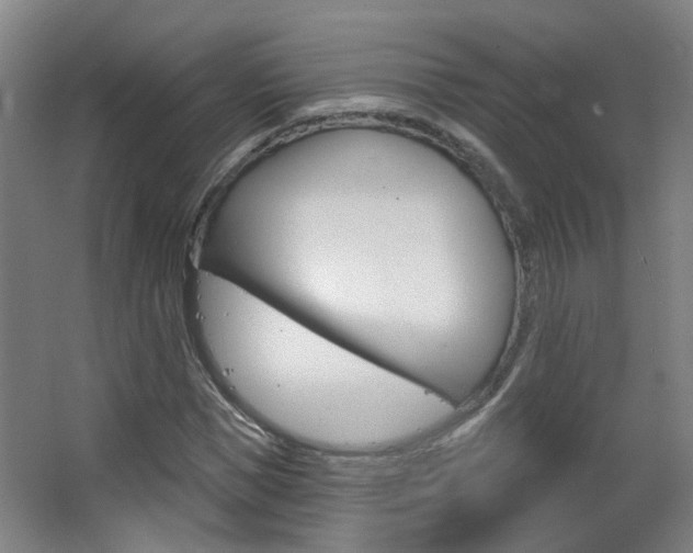 X0000063480921200601201021