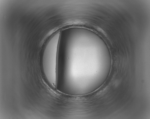 X0000063480922200601201021