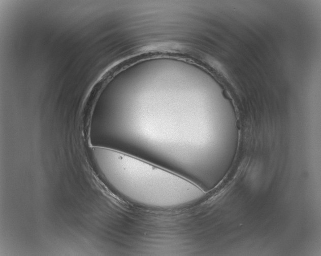 X0000063480923200601201021