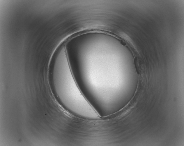 X0000063480924200601201021