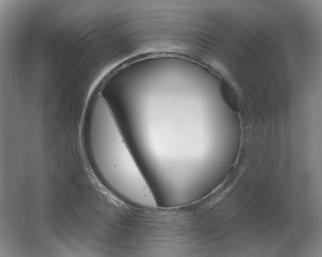 X0000063480928200601201021