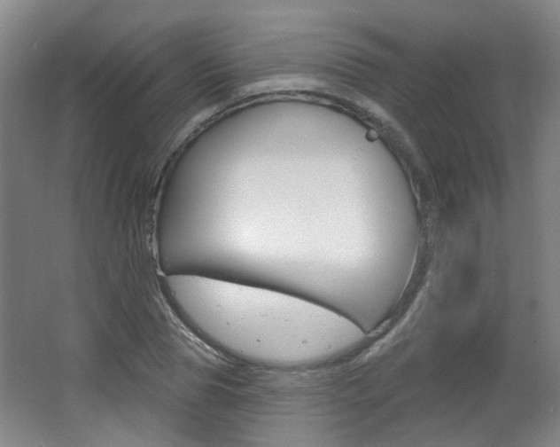 X0000063480929200601201021
