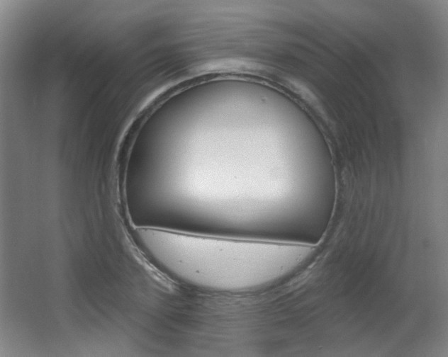 X0000063480931200601201021