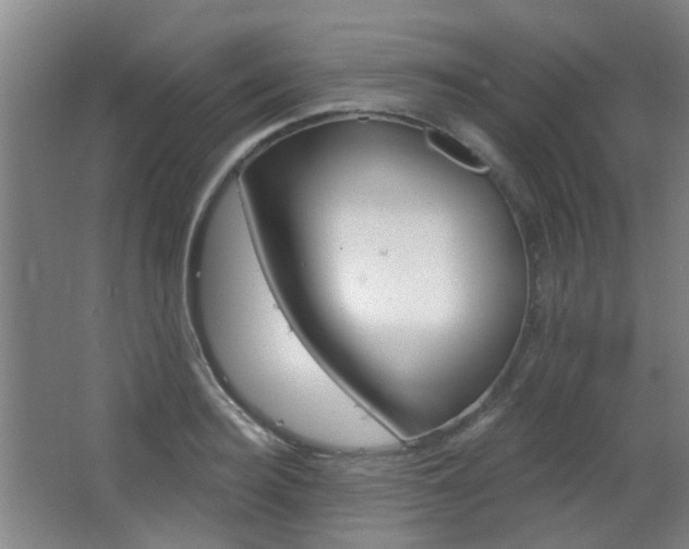 X0000063480940200601201021
